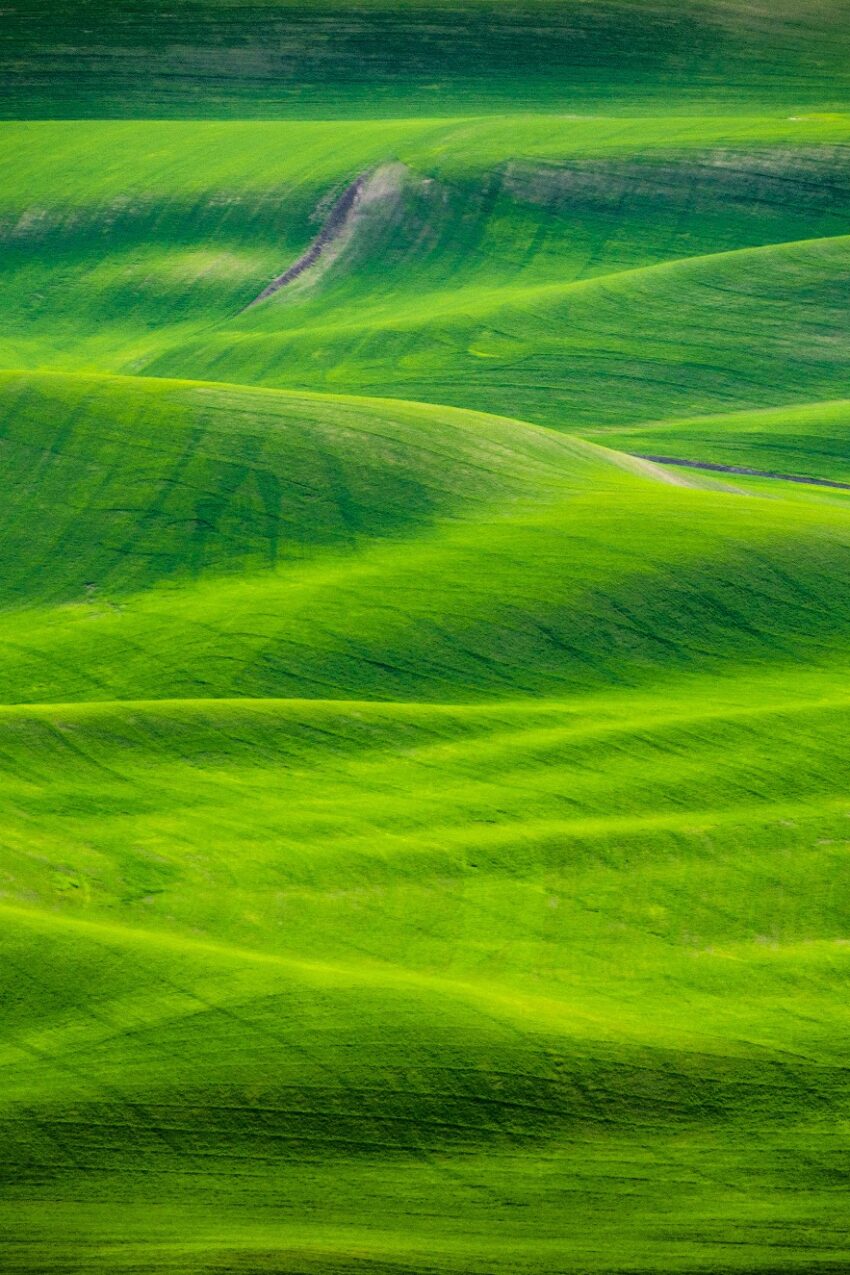 A high angle shot of grassy hills at daytime in Eastern Washington
